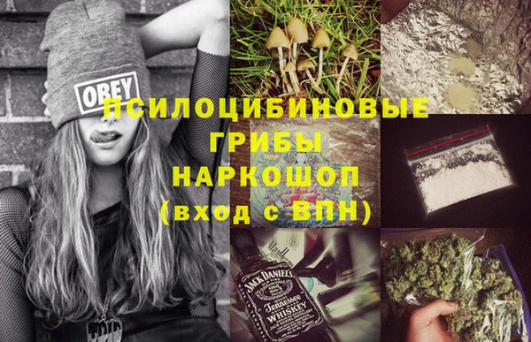 сатива Козельск