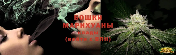 сатива Козельск