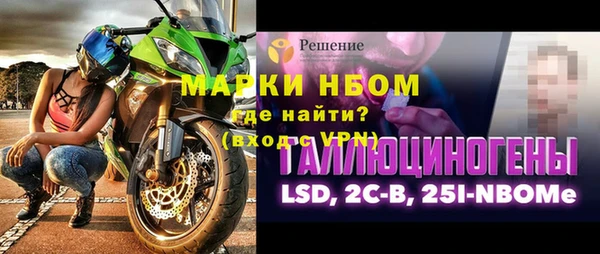 сатива Козельск