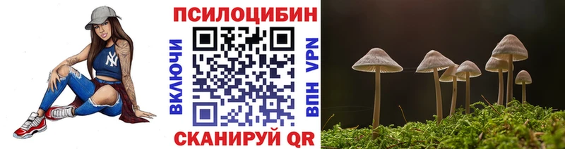 Галлюциногенные грибы Psilocybine cubensis  Купить закладки  Вышний Волочёк 